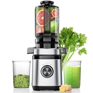 Entsafter, Slow Juicer, Entsafter Gemüse und Obst Testsieger mit | 350W DC-Ultrasilent-Motor | 110MM Einfüllöffnung | 2 Tassen | Saftpresse Elektrisch,Silber