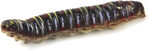 Miniatura 9 de 12 unids simulación oruga gusano falso gateo educativo aprendizaje broma broma juguete para