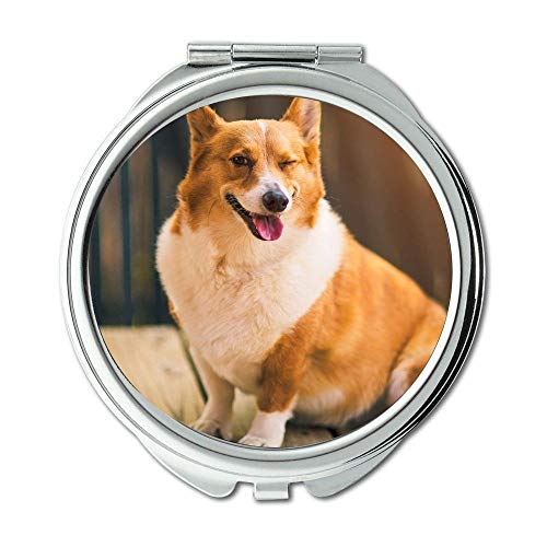 YENDOSTEEN Spiegel, Schminkspiegel, Bunte Hunde Corgi, Taschenspiegel, 1 X 2X Lupe