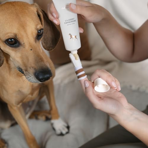 Zahncreme für Hunde – natürliche Zahnreinigung mit Kokosöl, Kurkuma & Papaya-Extrakt, sanft & effektiv, bei Zahnbelag, Zahnstein & Mundgeruch, LILADENT von LILA LOVES IT, 75 ml