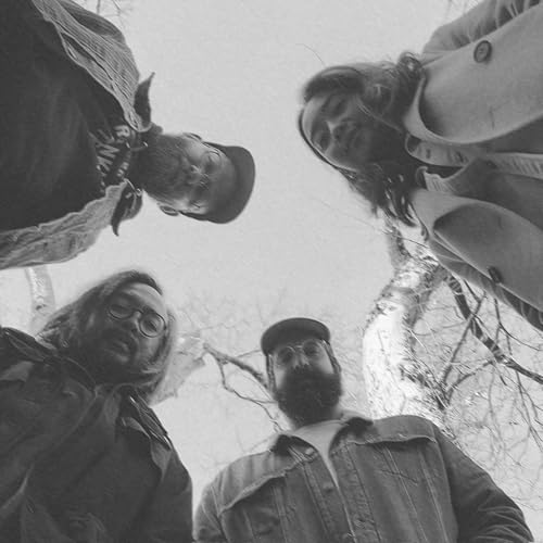 The Macarons Project & figuers