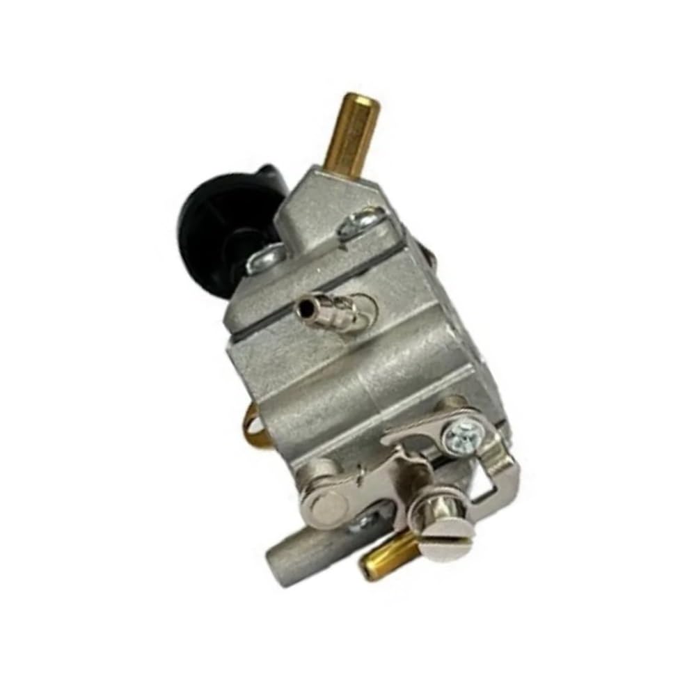 Carburateur 4283-120-0601 contre les pertes de puissance des souffleurs BR800X