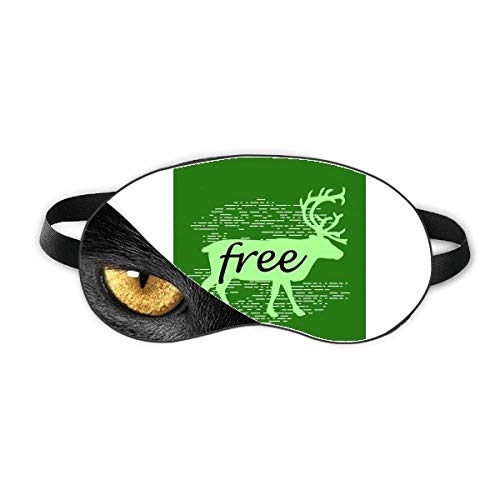 ̎̃VGbg̃i` xݖڂ̎Ռe