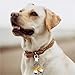 Nikeg Dog Collar Bells 2pcs Pet Location Tracking Collar Bell Loud Copper Bells with Lobster Clip Hanging Ring Accessories(ColorD)