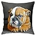 Ksodgun Federe per Cuscini Bulldog Inglese Cucciolo di Cane Federa Decorativa Fodere per Cuscini in Morbido Poliestere Fodere per Cuscini 45x45 cm