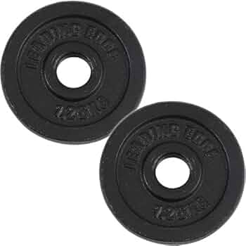 美品 リーディングエッジ 20kgプレート 1枚 28mm 用 アイアンヘビープレート 20kg ｜ラインナップ｜トレーニング用品