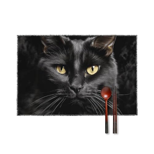Set de table chat noir antidérapant et résistant à la chaleur pour table de cuisine - 2