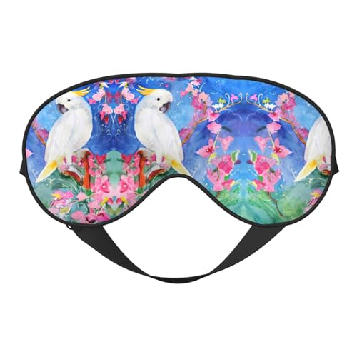 IE̒̉Ԃ̐}XNApAC}XNASɒ߉\ȃXgbvACJo[A/jpB