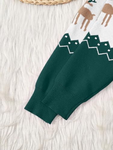 Image of Girls Christmas Pullover Sweaters Reindeer Elk Snow Long Sleeve Crew Neck Chunky Tops