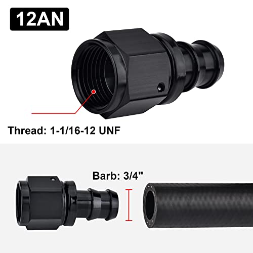Image of EVIL ENERGY 12AN Straight Push Lock Hose Fitting End Black