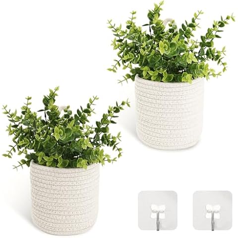 HTVSHEE 2 Set Hanging Wall Baskets with Artificial Eucalyptus Wicker Plant Basket Greenery Wall Decor Entryway Woven Storage Organizer for Porch Living Room Bedroom Cover