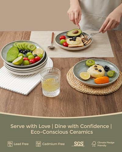 Image of Pokini Ceramic Dinner Plates Set of 6, 8inch Salad, Dessert Plates Dishes | Reactive Glaze Stoneware Dish Set, Dinner Plate for Dessert, Salad, Appetizer, Microwave & Dishwasher Safe, Scratch Resistant