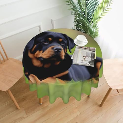 HHGFASD rottweiler - Mantel redondo decorativo con patrón de papel pintado de 60 pulgadas para comedor interior y exterior, fiestas, bodas