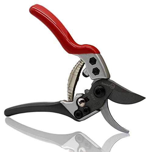 Our Top 10 Best tool to trim tree branches Reviews Maine