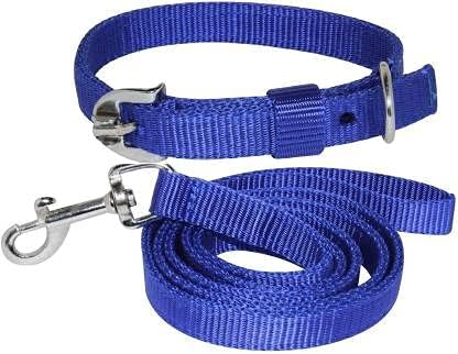 DYS Pets Adjustable Royal Blue Collar for Dog & Cat with Royal Blue Leash with Handle for Training, Running, Walking. Dog & Cat Collar & Leash (Medium, Blue)