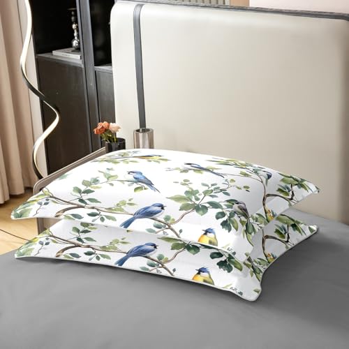 Parure de lit 100% coton 200x200 cm Loussiesd blanc cassé