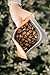 1 LB Panama Hacienda La Esmeralda, Washed, 100% Geisha Coffee (Medium Roast)