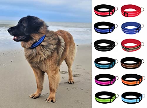 BUDDYPACK | Extra-Breites Hundehalsband mit Reflektorstreifen | Weiches Neopren-Polster | Größe XXS-3XL Verstellbar (S/M (41-46 cm), Schwarz)