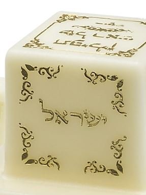 Image of Judaica Place Plastic Rashi Tefillin Holder for Righty Sizes 33-35 (Pearl, 34)