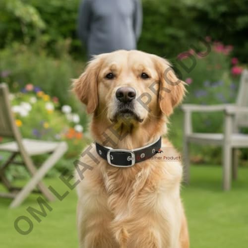 Image of Dog Collar with Padding | 01 Inch Width | Nylon Padded Collar | Easy to Clean | Best for Activities Like Walking, Training, Running and More (Black)