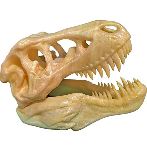 uneeke shape T Rex Skull: Dinosaur Skeleton, Realistic Look High Detailed Fancy Tyrannosaurus, Science Kit Jurassic Toy Cum Showpiece (Only Skull) (B08GCXYPGW) Amazon Price History, Amazon Price Tracker