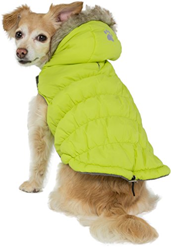 Friends forever dog apparel Clearance