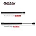 Maxpow Rear Trunk Lid Lift Support Struts Shocks 6405 Compatible with 2008-2010 Sebring, 2010-2014 200, 2005-2008 300 Trunk Lift Support Gas Spring Props, SG414049