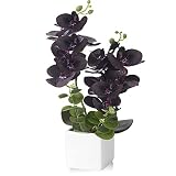 RERXN Artificial Flower Bonsai with White Pot, Real Touch Faux Orchid Flower Arrangement Fake Phalae