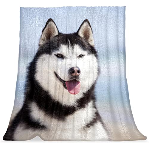 Couverture chaude peluche Husky le cadeau idéal pour l'hiver - 2