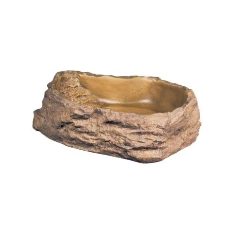 Exo Terra Water Dish, Water Bowl for Reptiles, Large, PT2803 Cover