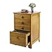 Winsome Studio File Cabinet, Honey