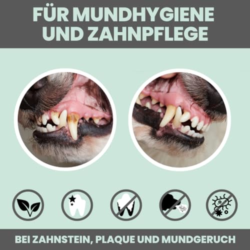 noms+ Dentalmix - Zahnpflege Pulver für Hunde – Natürliches Mittel gegen Zahnstein, Plaque & Mundgeruch Hund – Effektive Zahnreinigung gegen Zahnbelag bei Hunden