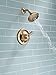 Delta Lahara 14 Series 5-Setting Shower Faucet Set, Brushed Gold Shower Head and Handle Set, Valve Trim Kit, Champagne Bronze T14238-CZ (Valve Not Included)