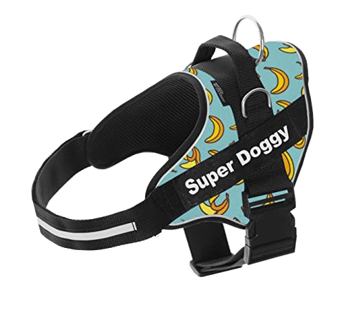 MR. DOGGY Personalisiertes Hundegeschirr - reflektierendes Geschirr für Hunde - inklusive 2 Namensschilder - alle Größen - hochwertig und robust (Blue Banana, M 13-22KG)