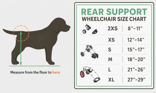 Image of Dog Wheelchair for Back Legs - K9 Orthopedic Surgeon Designed & Tested - Adjustable Dog Harness Stroller Cart with All Terrain Wheels Hind Leg Support - Mobility Aid by Best Friend Mobility - Large