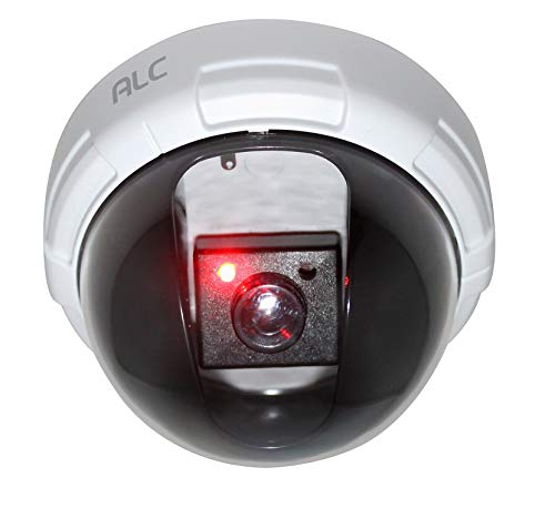 ALC Dome Decoy Camera w/Red LED Light, White/Black (AWFD02)