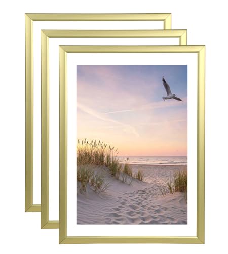 IDEAL TREND 3er 5er 10er Set Bilderrahmen Fotorahmen aus Kunststoff Bilder Foto Posterrahmen Collage AC-6 Wanddeko: Farbe: 3er Pack Gold | Format: 50x70 IDEAL TREND 3er 5er 10er Set Bilderrahmen Fotorahmen aus Kunststoff Bilder Foto Posterrahmen Collage AC-6 Wanddeko: Farbe: 3er Pack Gold | Format: 50x70