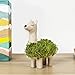 Gift Republic - Lama Pflanztier | Das Keramik Lama zum Chia Samen Züchten | Anzuchtschale in Lama Form | Chia Seeds Starter Kit | Llama Plant set | Geschenk an Weihnachten, Geburtstag, Hochzeit