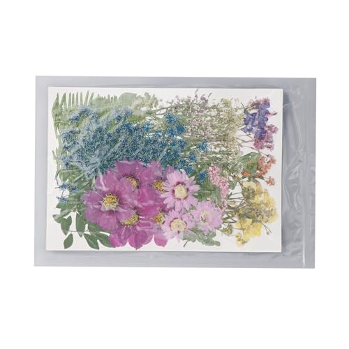 110 piezas flores prensadas secas para manualidades miniatura 7