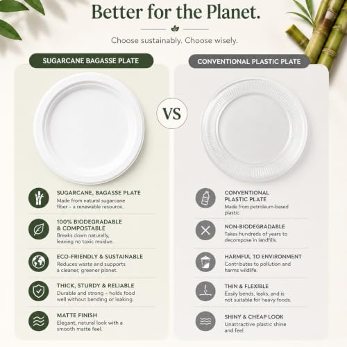 Image of Bio Degradable Plate Small Size 7'' Inch, Pack of 10