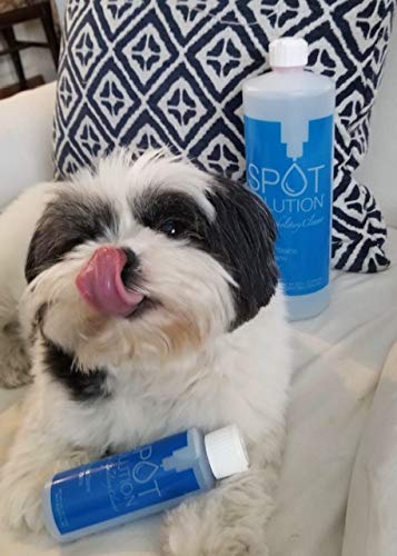 Spot Solution – 1 Gallon Carpet & Upholstery Spot Cleaner For Stains – Odor Free - Removes Pet Stain And People Stains – No Soap, No Residue – 128 Oz #TOP4