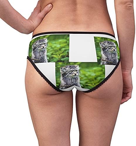 Pallas Cat Panties, Pallas Cat Underwear, Briefs, Cotton Briefs, Funny Underwear, Panties For Women