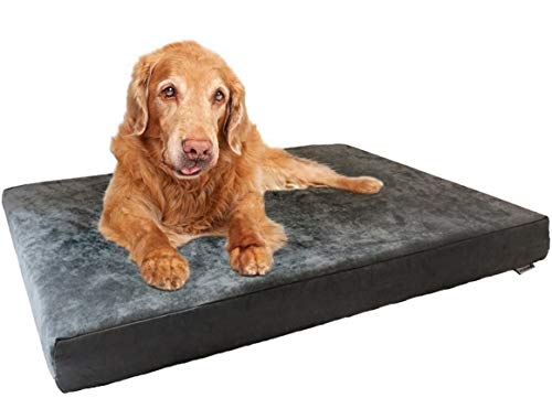 Dogbed4less Premium Orthopedic Memory Foam Dog Bed with Gray Suede Cover for Large pet, Waterproof Internal Liner and Extra Replacement Case, Gel Cooling XXL 55X37X4 Inches Pad