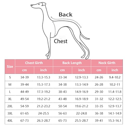 IUOUTG Hundeleichter Jacke Windbreaker, Rollkragenpet Haustier Outdoor Sportjacke, wasserdichte Italienische Windhundmantel Whippet -Kleidung Für Hunde