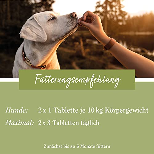 tierlieb Herz-Kreislauf Tabletten | Für Hunde | Mit Carnitin & Taurin | 180 Tabletten