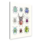 Exklusive Designs ausgewählter Künstler der Lifestyle-Marke artboxONE