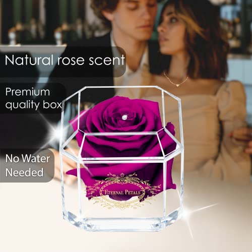A 100% Real Rose That Lasts Years - Eternal Petals, Handmade in UK - Preserved Infinity Flower - Gold Solo with A Clear Crystal (Plum) - Image 3