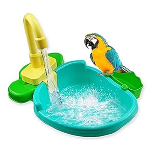 Vogelspeelgoed Vogel feeder automatische papegaai bad bad zwembad kraan papegaai bad douche water dispenser vogel kooi…