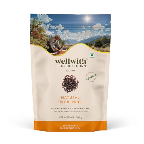 Image of Wellwith Sea buckthorn Dry Berry 100g (Pack of 1) - Natural, Sun-Dried, Rich in Omega 3,6,7 and 9, & Vitamin C, E | Dried Seabuckthorn Berries | No Added Sugar or Preservatives