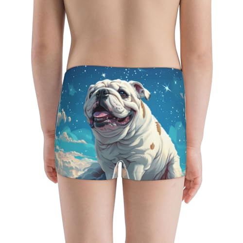 Boys' Cotton Boxer Brief Soft Underwear-Starry Sky Cloud Bulldog3